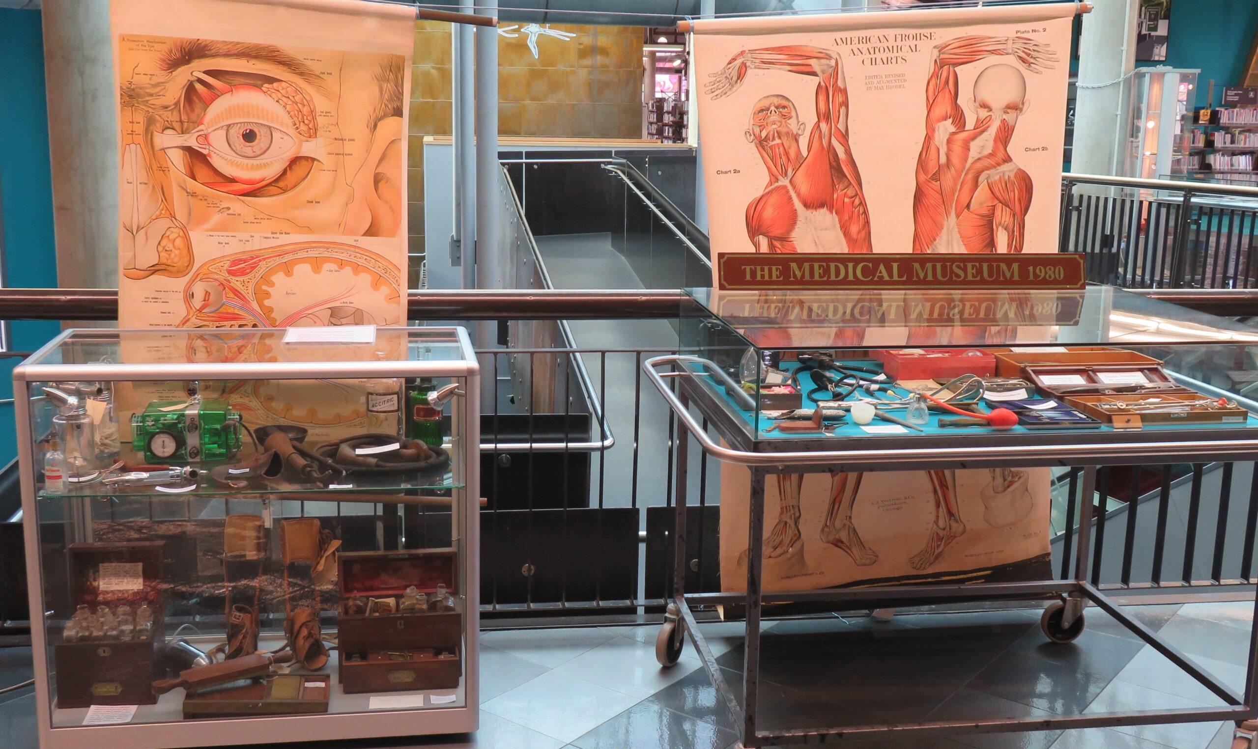 Image depicts two glass display cabinets with historical medical equipment on display within. Two anatomical charts hang behind them showing human muscle structure, including optical nerve structure.